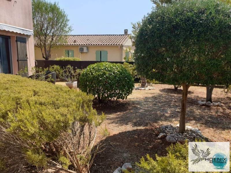 jardin taille printemps