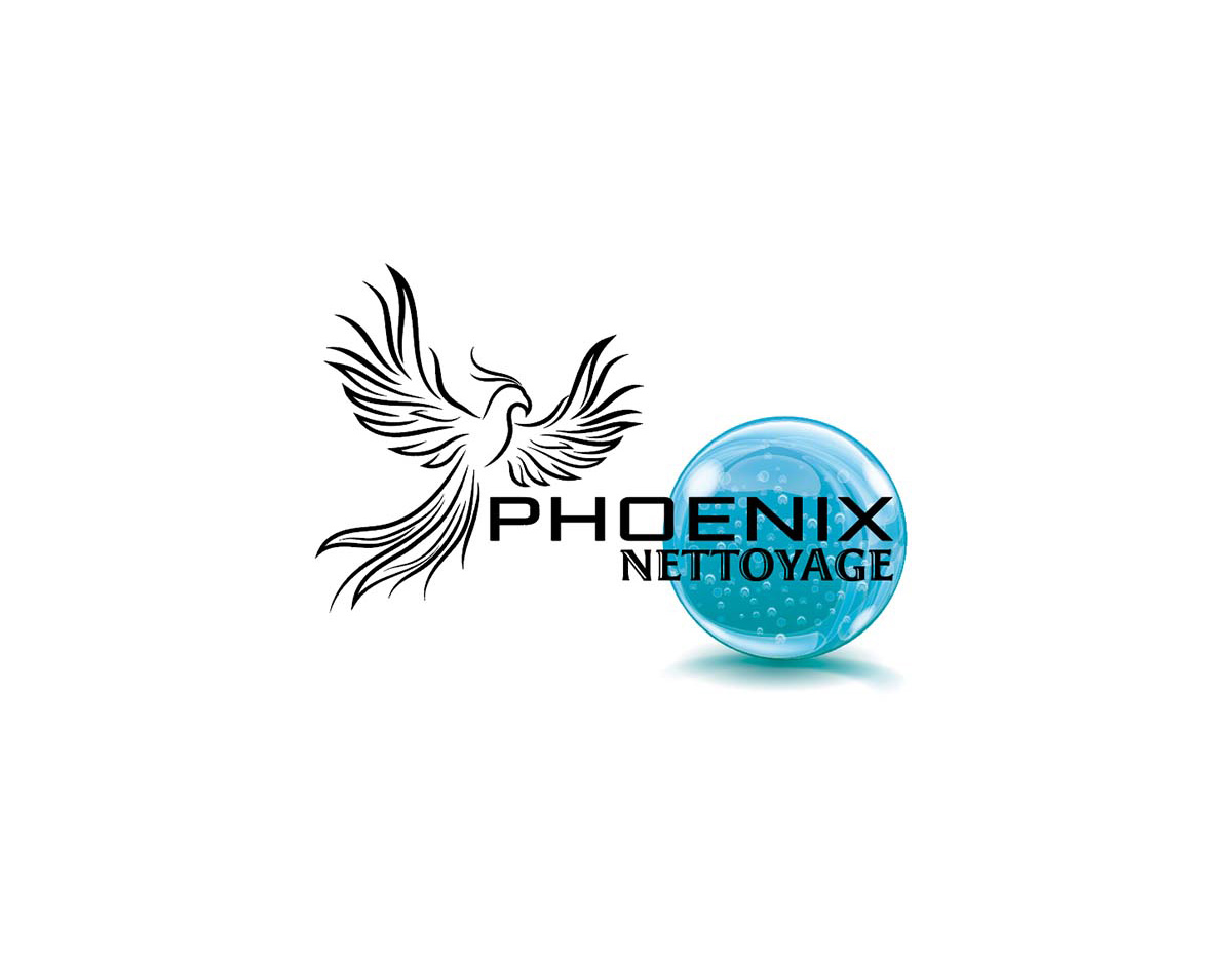 Phoenix Nettoyage -  Service de désencombrement et débarras pour particuliers à Saint-Maximin-la-Sainte-Baume 83470
